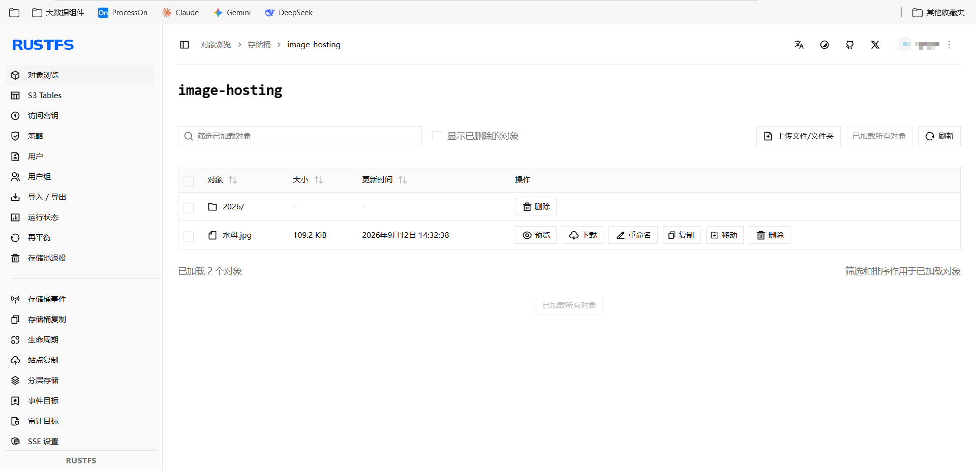 rustfs-publish.png