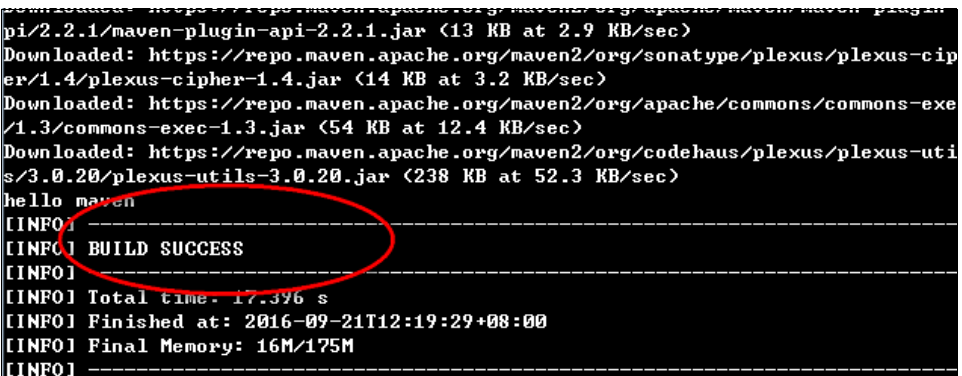 image-20241218101603784